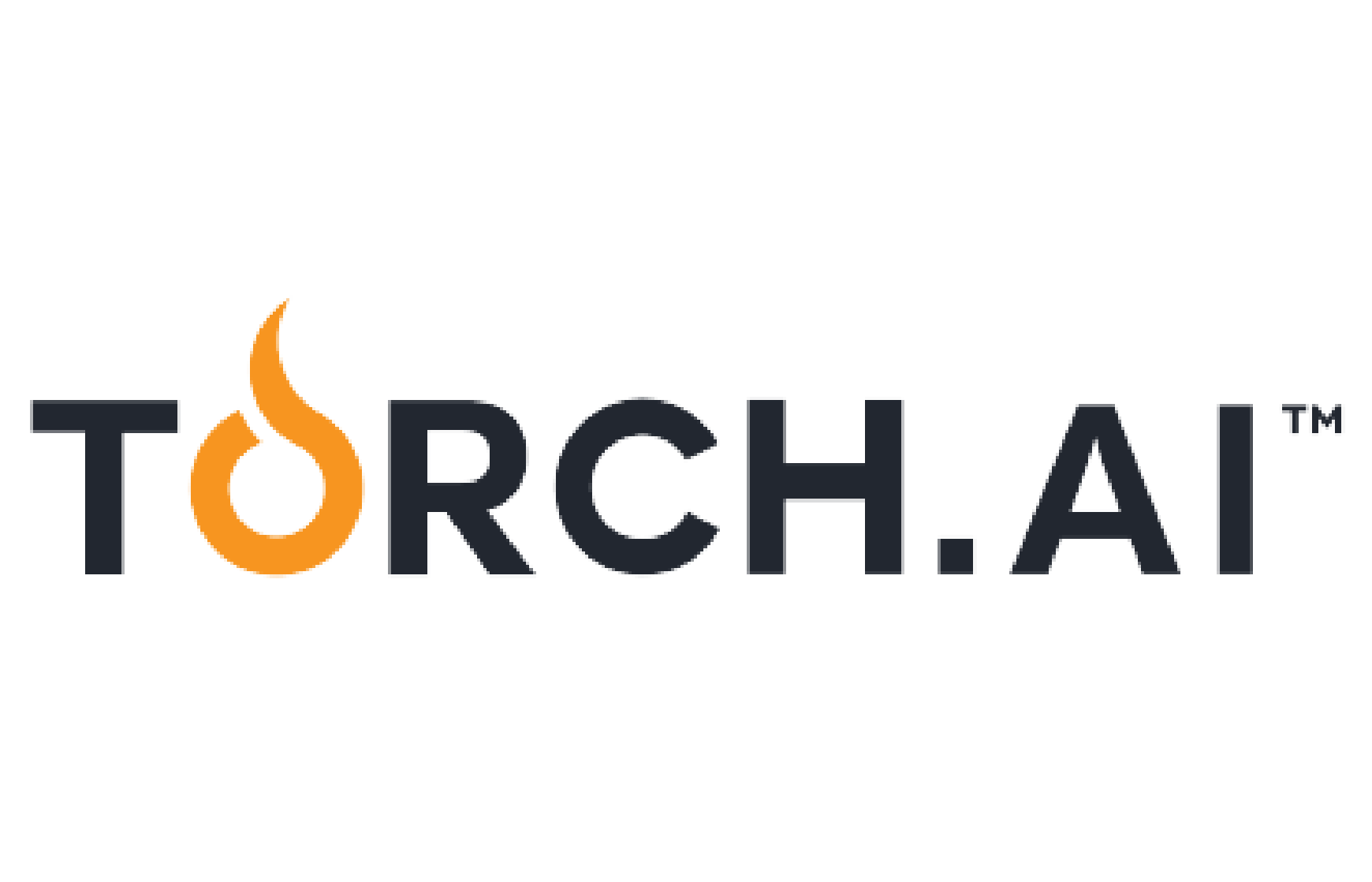 Logo of the company Torch AI who is a client of Precision Talent Solutions.